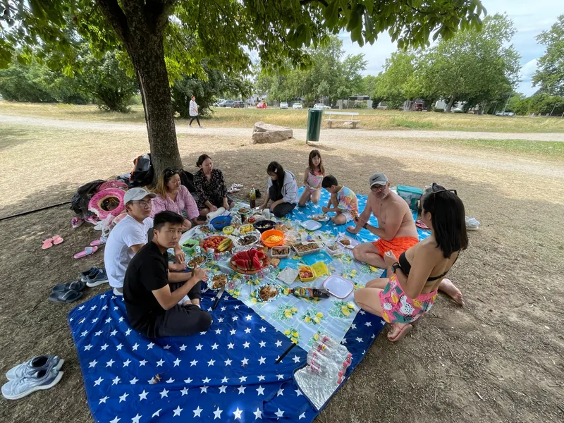 Picknick im Schatten eines großen Baums